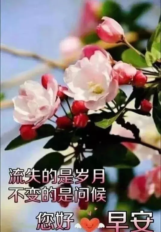 千万不要小瞧一个美貌的女人，永远不要低估一个漂亮的女人（厚爱无需多言。久处不厌才是真情）