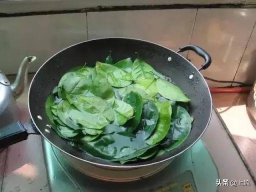 柚子叶去晦气的方法，用柚子叶辟邪讲究什么（如何成为广东人的转运密码）