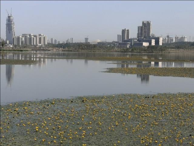 興隆湖一圈有多少公里,興隆湖在幾環(興隆湖環湖成功)