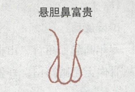 1,悬胆鼻下面让我们来看一看,注定大富大贵的鼻子都有哪些特征.