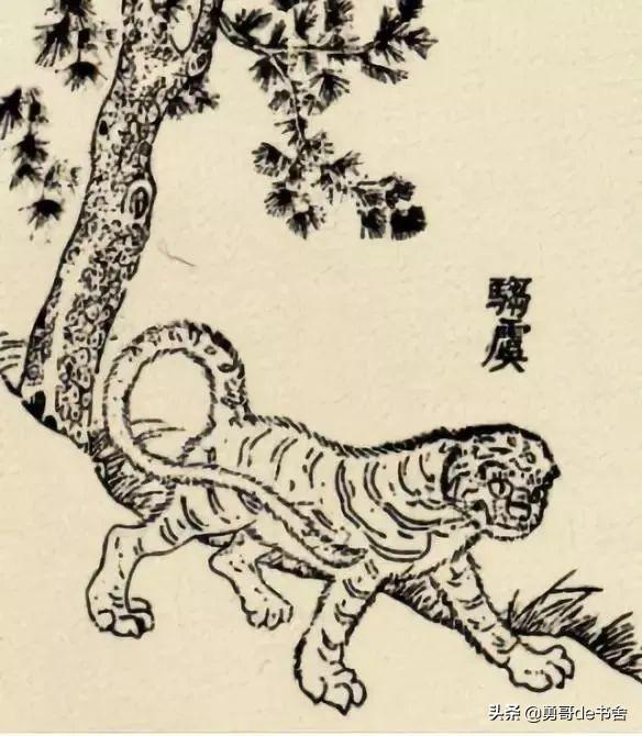 大熊猫的名字来历，大熊猫名字的来历介绍（ 原来它在历史上是这样的存在）