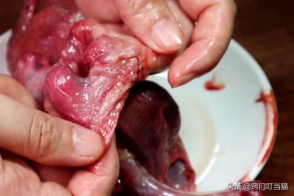 鸽子头能吃吗，鸽子汤为什么不能放姜（鸽子身上5个部位含有毒素）