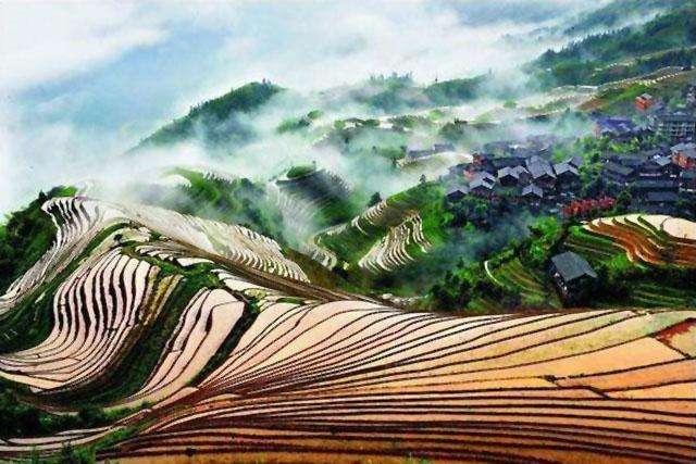 桂林田螺酿的传说，全国都要羡羡羡羡羡慕死桂林了