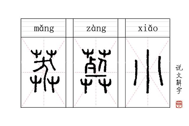 民的笔顺怎么写图片