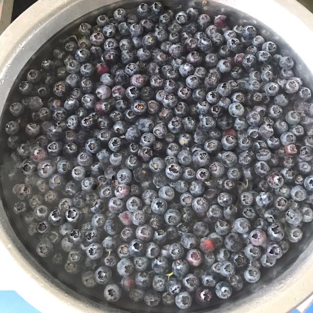 蓝莓果酱怎么做，蓝莓酱怎么做好吃（没有添加更健康）