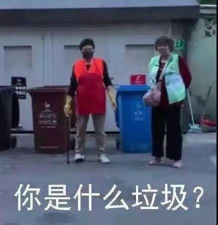 你是什么垃圾，你是什么垃圾你算什么东西歌词（“你是什么垃圾？”图片）