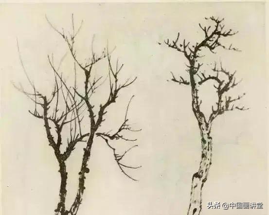 大树怎么画，大树怎么画的特别好看（缠枝、挺杆、屈节、钮裂、一棵树如何画）