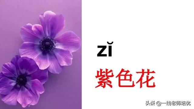 音序是什么?音节又是什么，音序是什么（小学汉语拼音——整体认读音节）