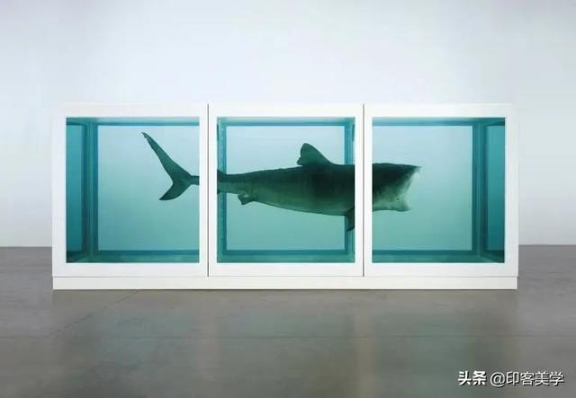 手不释卷的动物，手足之情的动物是什么生肖（世传王安石是獾转世投胎）