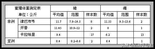 平头哥是什么梗，平头哥是什么梗 豆瓣（而是智勇双全的生存大师）