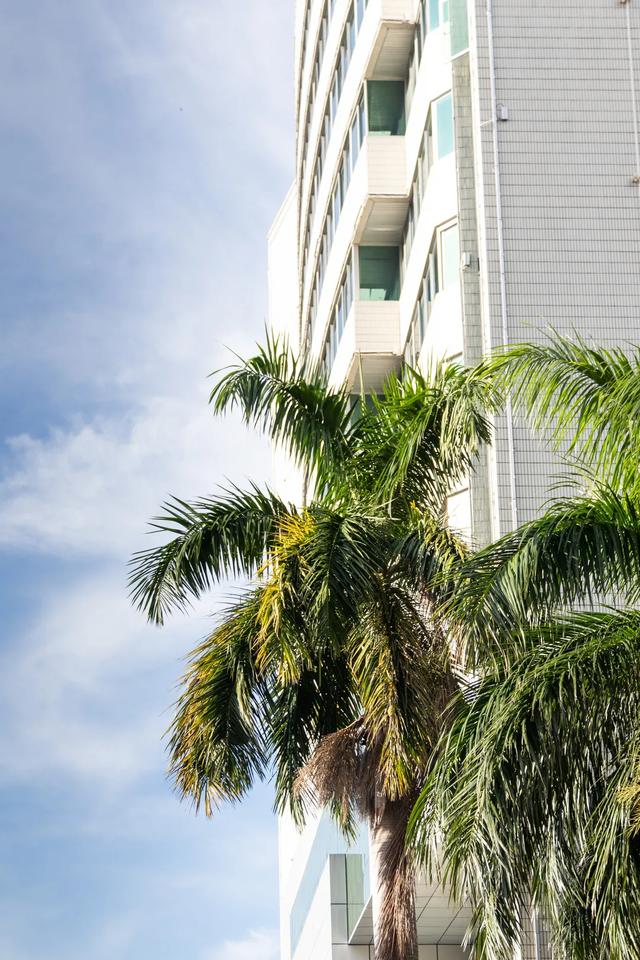 三亚小吃一条街在哪,三亚市区步行街小吃一条街(一条通往海边的美食老街) 三亚小吃一条街在哪,三亚市区步行街小吃一条街(一条通往海边的美食老街)