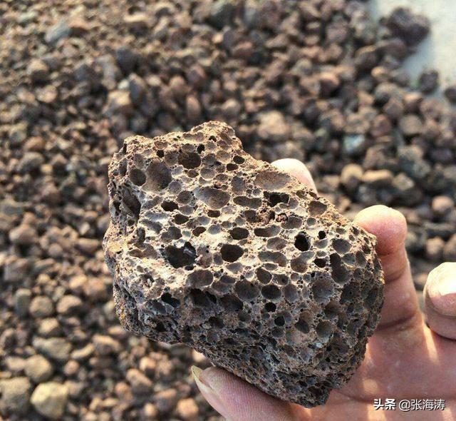 轻石是什么石头，轻石是什么石头的别称（种养兰花植金石无营养好多的东西能取代）