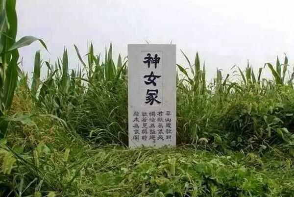 殉情是什么意思，殉情是什么意思的抹香鲸（妙龄少女为陌生男子殉情）