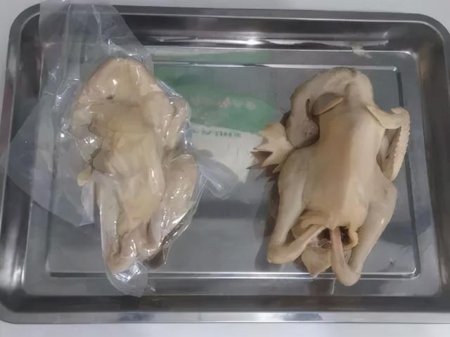 山东多乐采暖锅炉厂，多乐炉子和热立方哪个好（“枣庄老字号”不看不知道）