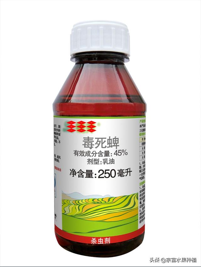 水果虫子到处飞怎么处理，水果虫子到处飞怎么处理视频（在果树叶片上看见有丝网与粪便）