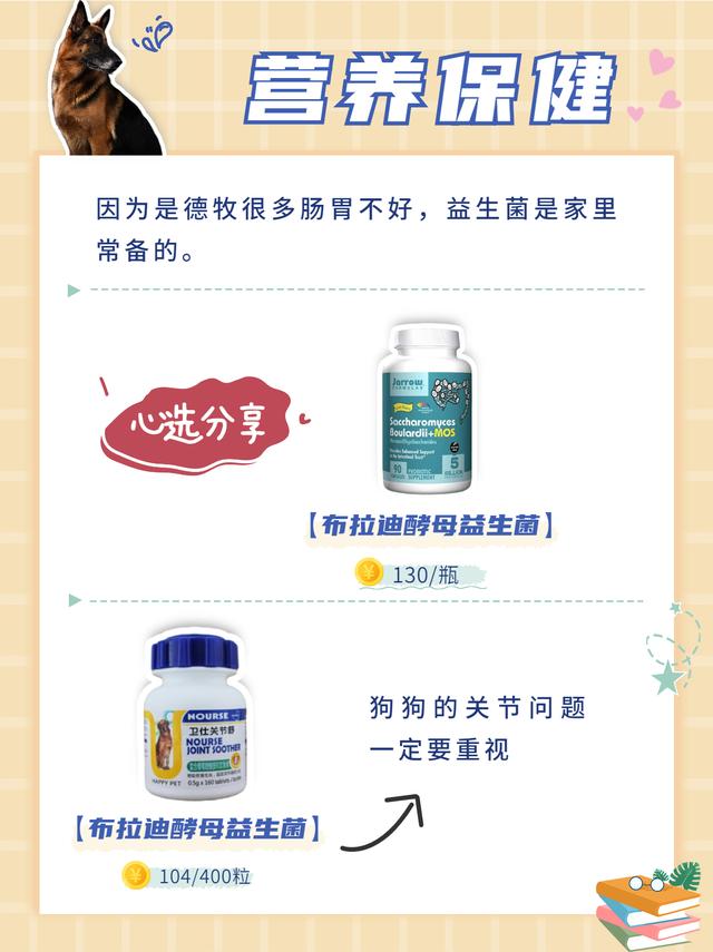 德国牧羊犬好养吗，德国牧羊犬好养吗怎么养（德牧经济喂养攻略分享）