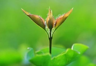 复位键是干什么的(<一篇接地气的文章>) 复位键是干什么的(<一篇接地气的文章>)