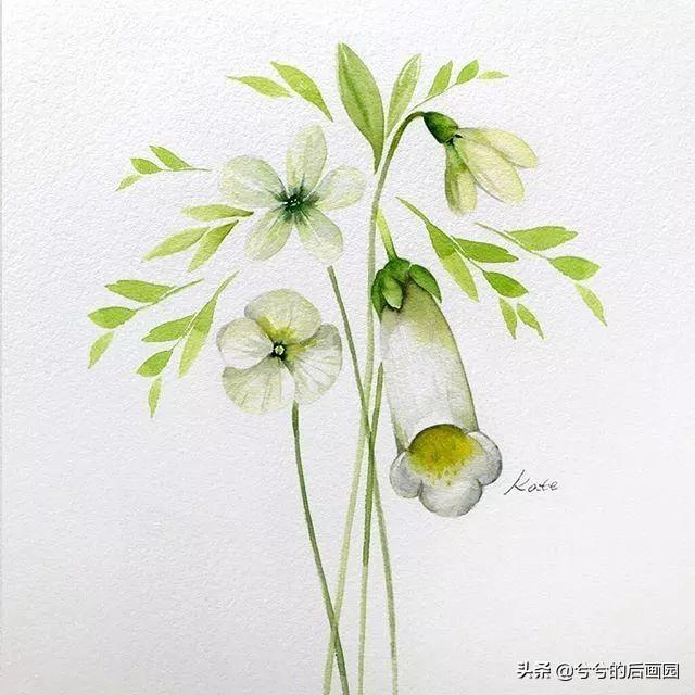 简单的花怎么画，玫瑰花画法（3个简单步骤教你画出一朵小花花）