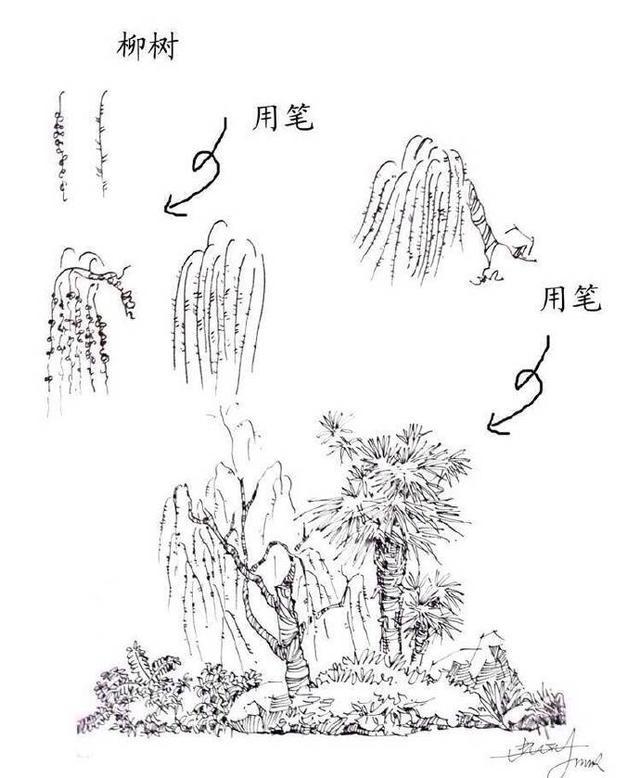 树木速写技法表现，园林树木速写（实用的植物速写技法）