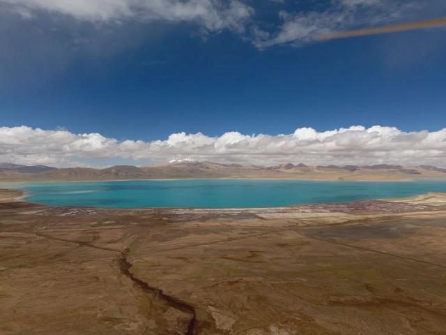 西藏厕所被狼咬死的两人，青藏线被狼吃事件（好多问新藏线住宿）