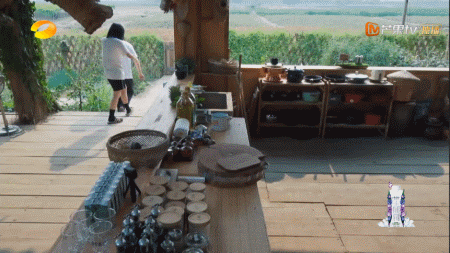 向往的生活开局推到张子枫，张子枫是谁推荐到向往的生活（《向往的生活4》张子枫被疑社恐）