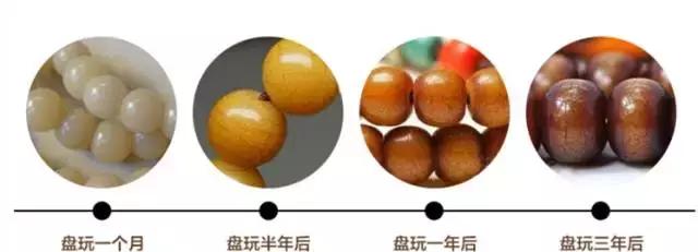 菩提根佛珠怎么养，菩提根佛珠怎样盘玩（菩提根的“盘玩大法”！）