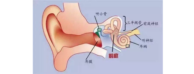 晕车药的副作用有哪些，晕车药有副作用（为什么你总是晕车）