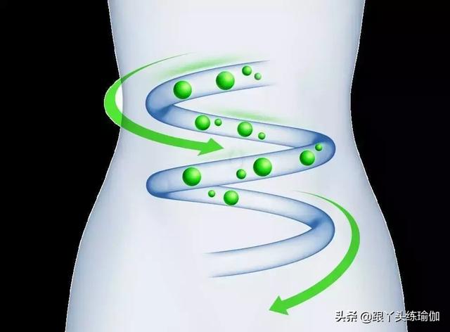 顺时针是什么方向，顺时针是什么方向图片（按摩腹部应该朝哪个方向）