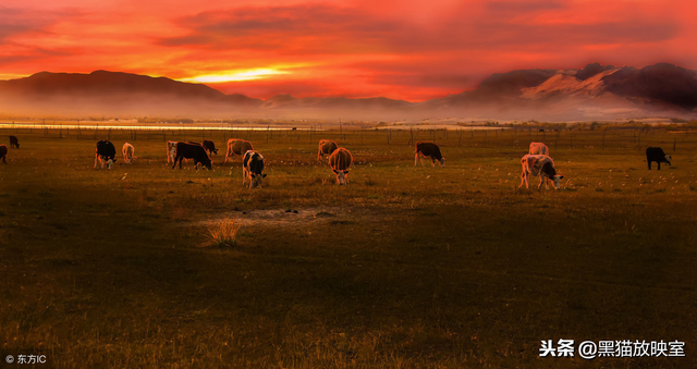 马头琴名曲，马头琴名曲欣赏100首（推荐10首美妙的草原马头琴纯音乐《鸿雁》《嘎达梅林》太好听了）