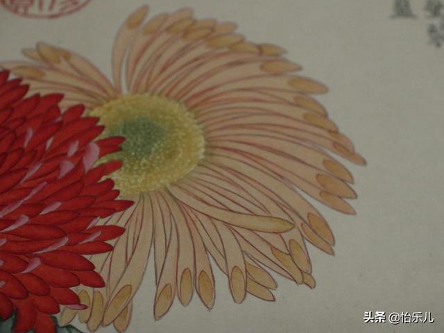 葩的读音（葩怎么读，葩是什么意思（金佛座、搓粉妆、绶带紫、鹤头丹）