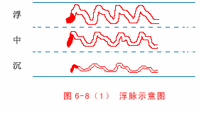 中医把脉入门必背口诀，把脉入门必背口诀（最全动图展示一目了然）