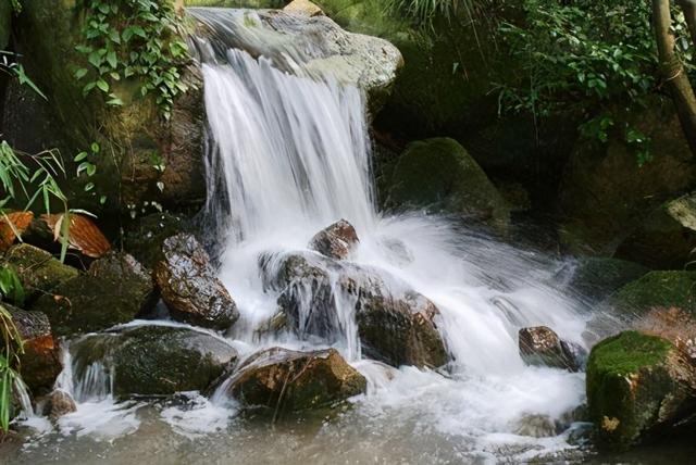 心塞，心塞的图片 表情包（心脑血管堵塞的秘密你都知道吗）