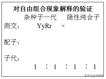 目录格式怎么设置，WORD技巧（遗传定律知识点最全总结！）