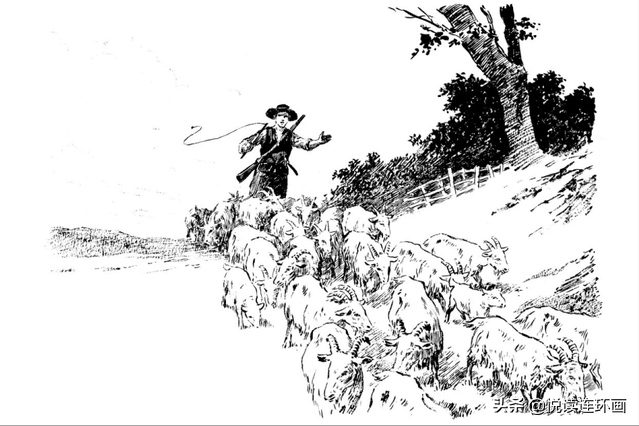 鲁滨逊漂流记小说，鲁滨孙漂流记是第几人称的小说（5分钟了解名著《鲁滨逊漂流记》-儿童阅读经典）