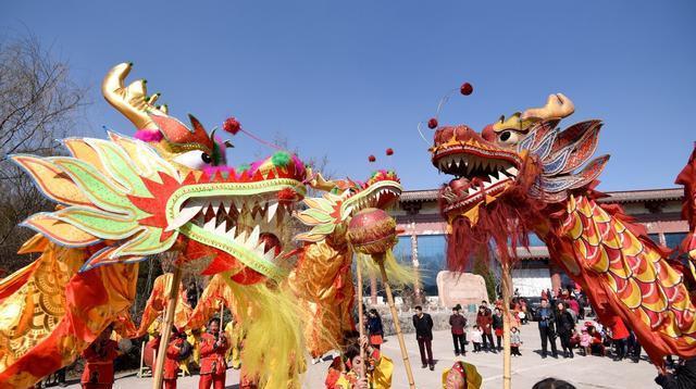 遇到死蛇有什么预兆，梦见死蛇是什么预兆（更别滥捕滥食野生动物）