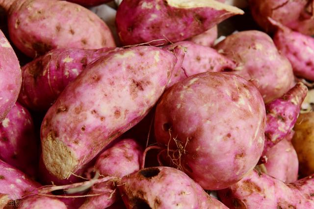 白薯蒸多久能熟透，白薯蒸多长时间能熟（掌握3个技巧）