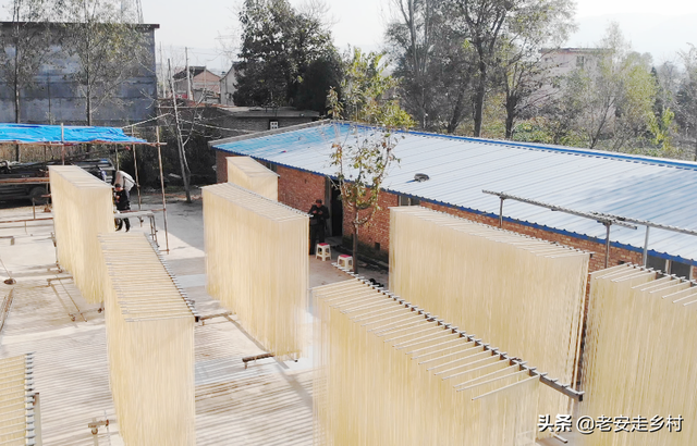 如何制作纯手工挂面，怎样制作手工挂面（实拍三阳手工挂面的制作过程）