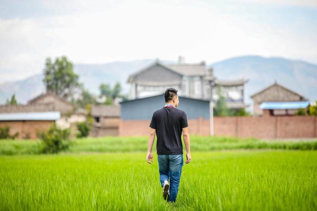 丽江自助旅游攻略，云南丽江旅游攻略自助游（丽江自助游攻略）