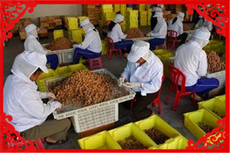 加盟小型加工厂(开一家小型加工厂)