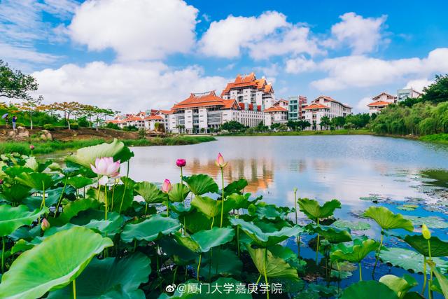厦门大学嘉庚学院是几本，厦门嘉庚学院怎么样（这5所大学伙食堪比饭店）