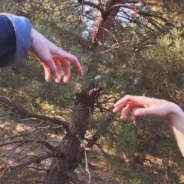 十指相扣的温柔，微信头像，十指相扣的温柔（炒温柔的牵手头像）