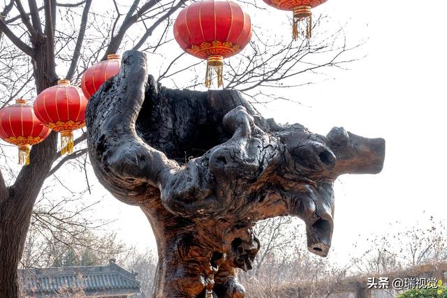 山西老鸹窝图片