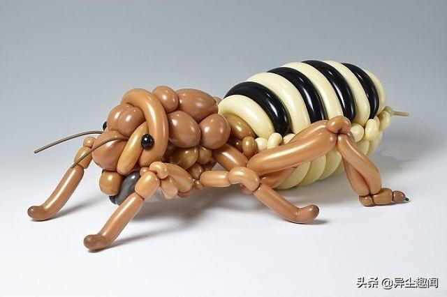 用气球做小动物教程，教你用气球做小狗的方法（日本艺术家用气球制作了令人难以置信的动物模型）