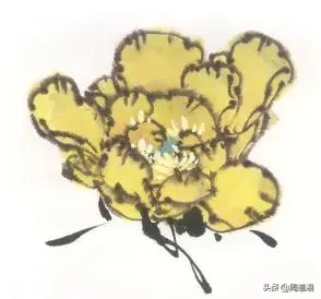 牡丹花头的画法对照表，写意牡丹花头的各种画法