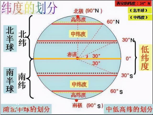 世界上最毒的海螺是什么，有剧毒的海螺（为何突然出现在吃了几十年的海鲜里）