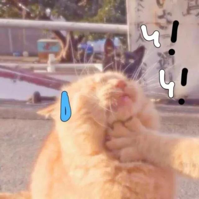 100组沙雕情侣头像，沙雕图片情侣头像（令人眼前一亮的发圈文案）