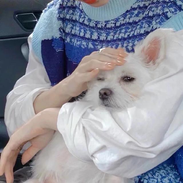 微信壁纸图片大全，微信背景图片（微信朋友圈背景图<60张>）