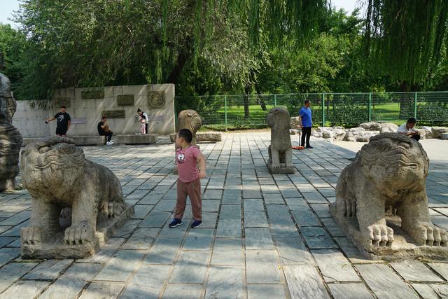 中国最大的动物园，中国动物园排名（中美动物园大PK）