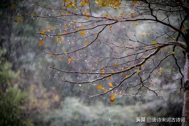 飘洒的秋雨像什么,飘洒的秋雨像什么如何造句(十首秋雨诗词) 飘洒的秋雨像什么,飘洒的秋雨像什么如何造句(十首秋雨诗词)