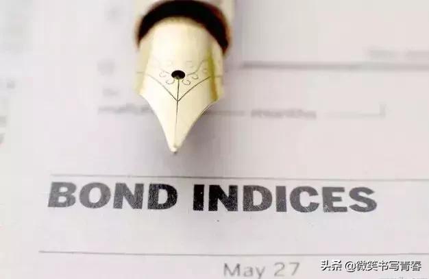 什么叫溢价发行债券，什么叫溢价发行债券行为（如何玩转债券投资）